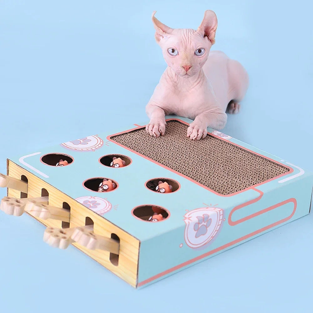 Maze Interactive Educational Cat Game Box 3 in 1 Funny Cat Stick With Scratcher Cat Hit Gophers Cat Toy Chase Hunt Mouse